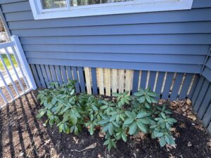 Fence Repair and Reinforcement in West Simsbury