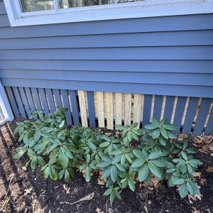 Fence Repair and Reinforcement in West Simsbury
